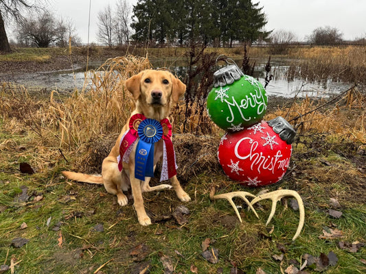 Advanced Shed Hunt Class: Sundays at 2:00pm for 4 Weeks